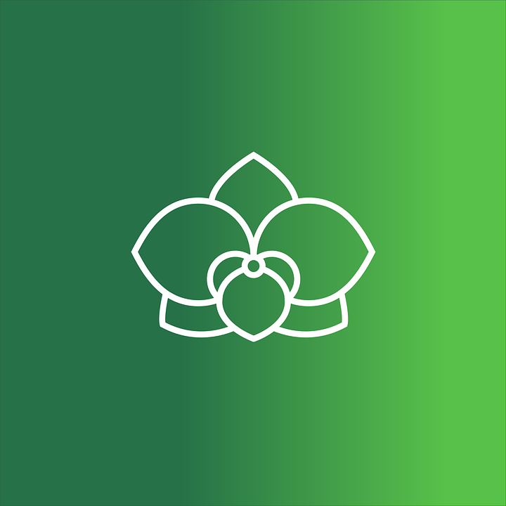 Логотип Орхідея (квіткова крамниця) 